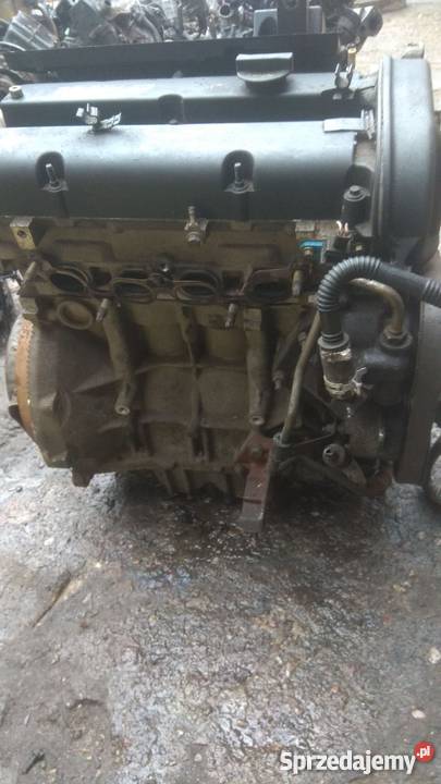Silnik benzynowy FORD FIESTA Mk 6 poj 125 Margonin