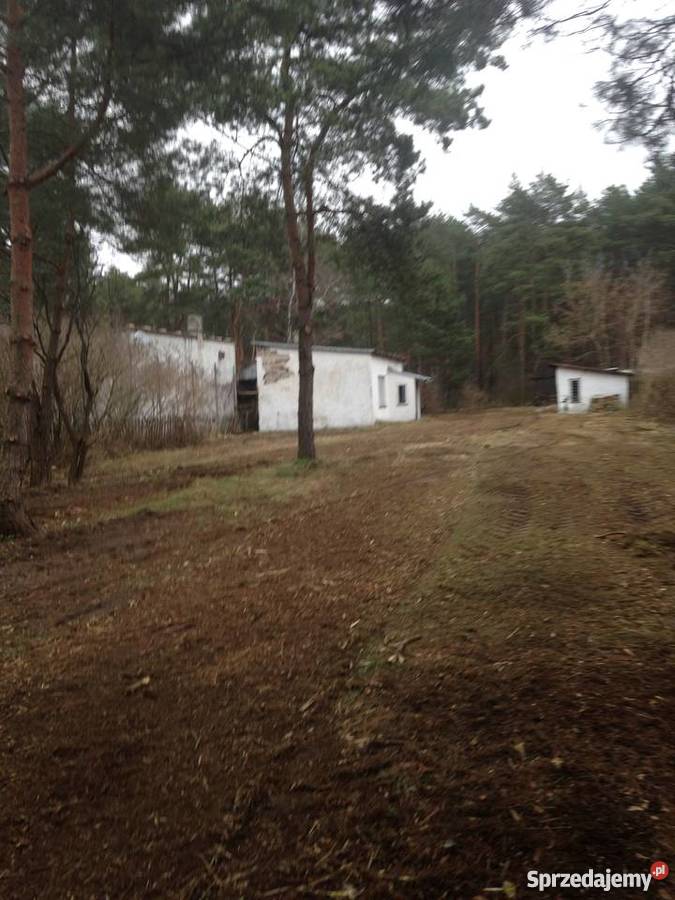 DzbudJozefow kOtwocka Dzika z domkiem i Michalin sprzedam