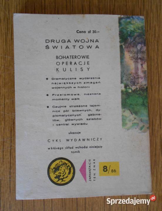 Żółty Tygrys Smugi ognia 886