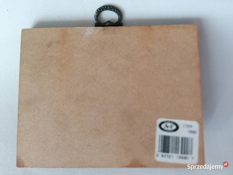 Obraz płaskorzeźba kaczki Windsor Canada Łódź