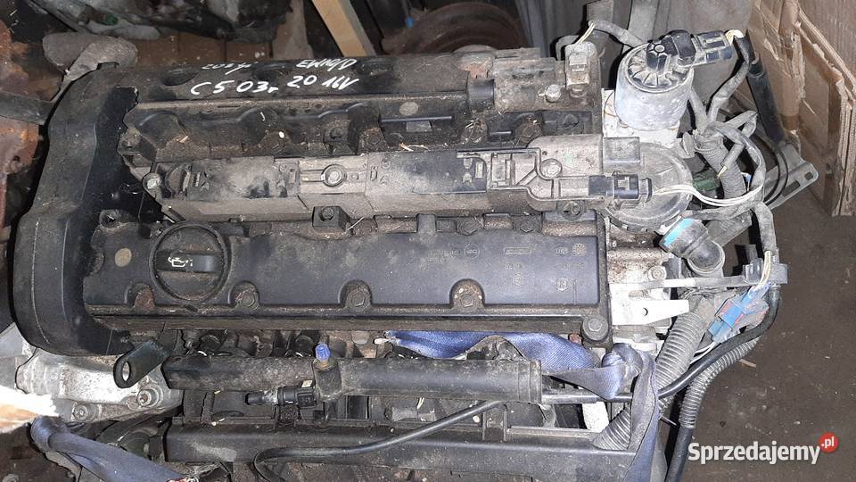 silnik kompletny EW10D 20 16V Citroen Peugeot Silniki kompletne Dębno