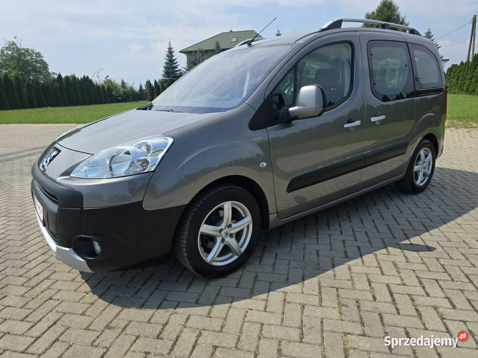 Peugeot Partner 16Benz 5 OsoboweTepee