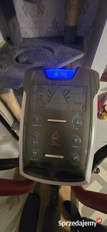 Orbitrek estrider BE6760GJ Turka