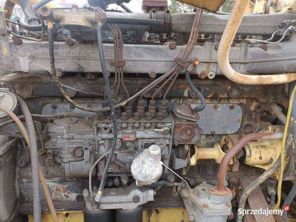 Silnik DAF 825 Sprawny śląskie Tychy sprzedam