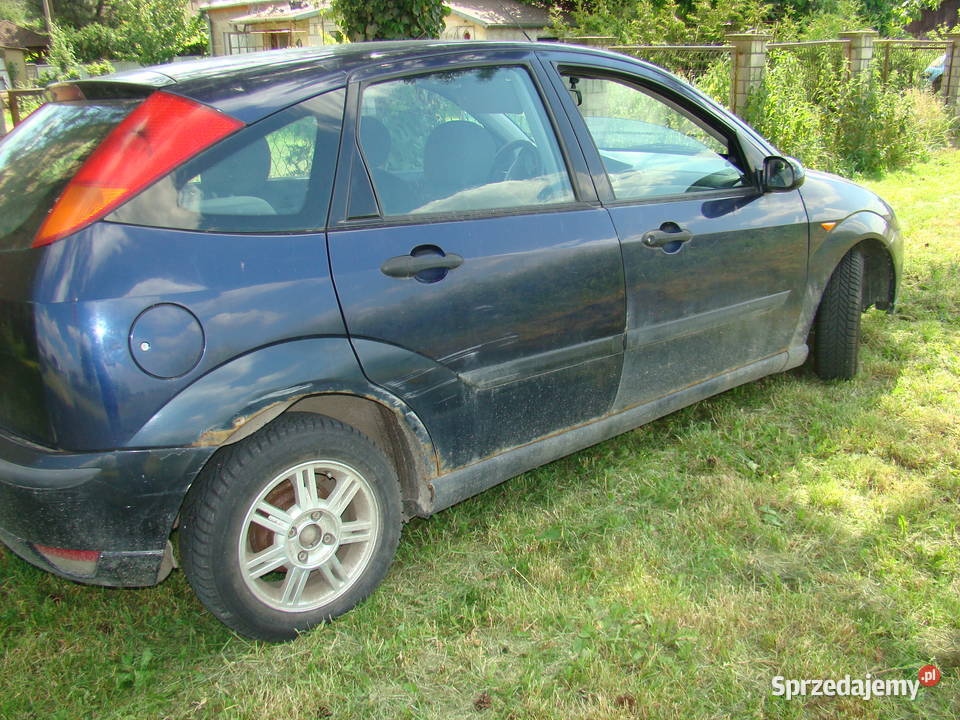 Ford Focus 2001r 16 BG Niemce sprzedam