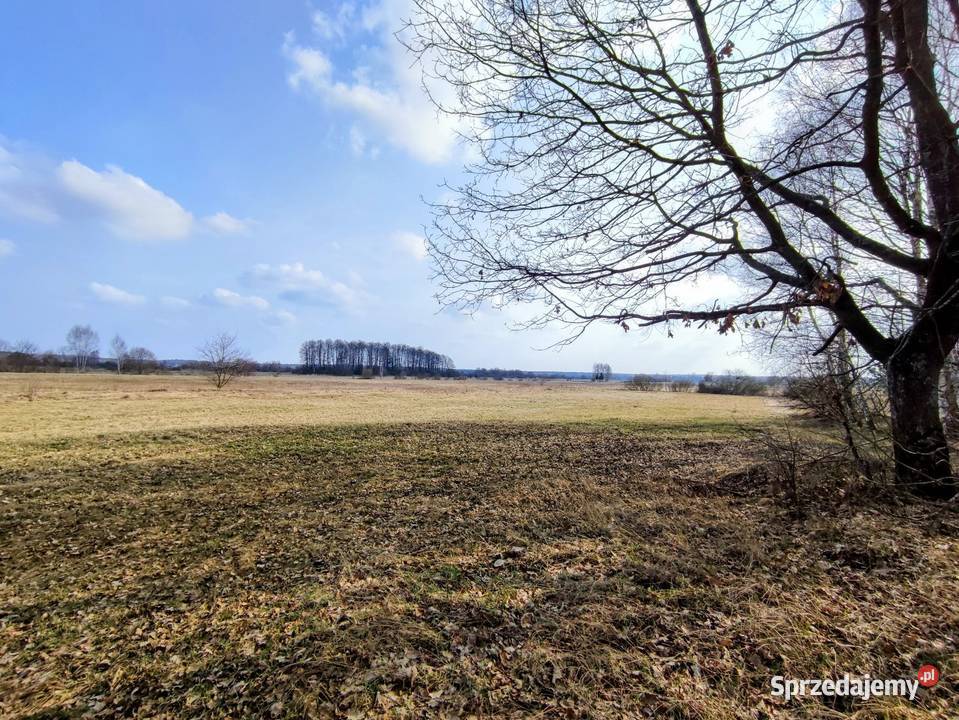 Działka rolna warunki zabudowy 0zł/m2 Kleszczele