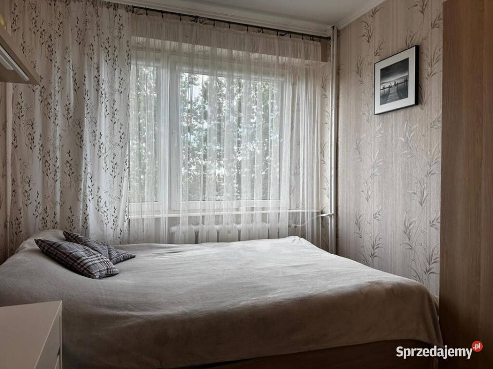 Mieszkanie 4855 m 2 pokoje Słowackiego Sprzedaż Piotrków Trybunalski