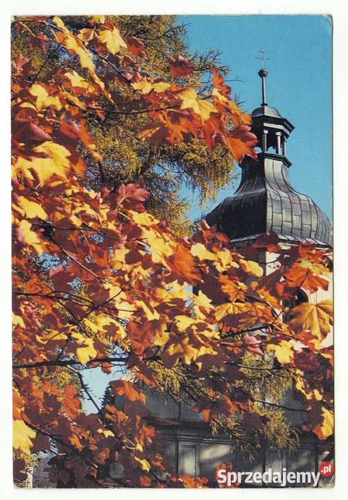 LĄDEK ZDRÓJ KOTLINA KŁODZKA świętokrzyskie Krynki