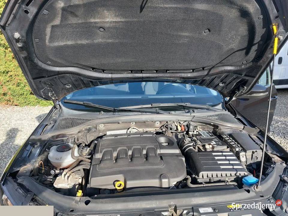 Skoda Octavia 20 TDI Elegance DSG 150 2019r Octavia Kaniów