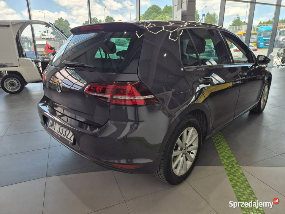 Volkswagen Golf Volkswagen Golf 16 TDI śląskie