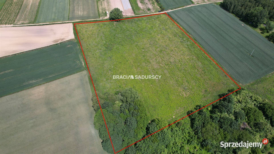 Działka 22406m2 Rawałowice asfalt sprzedam