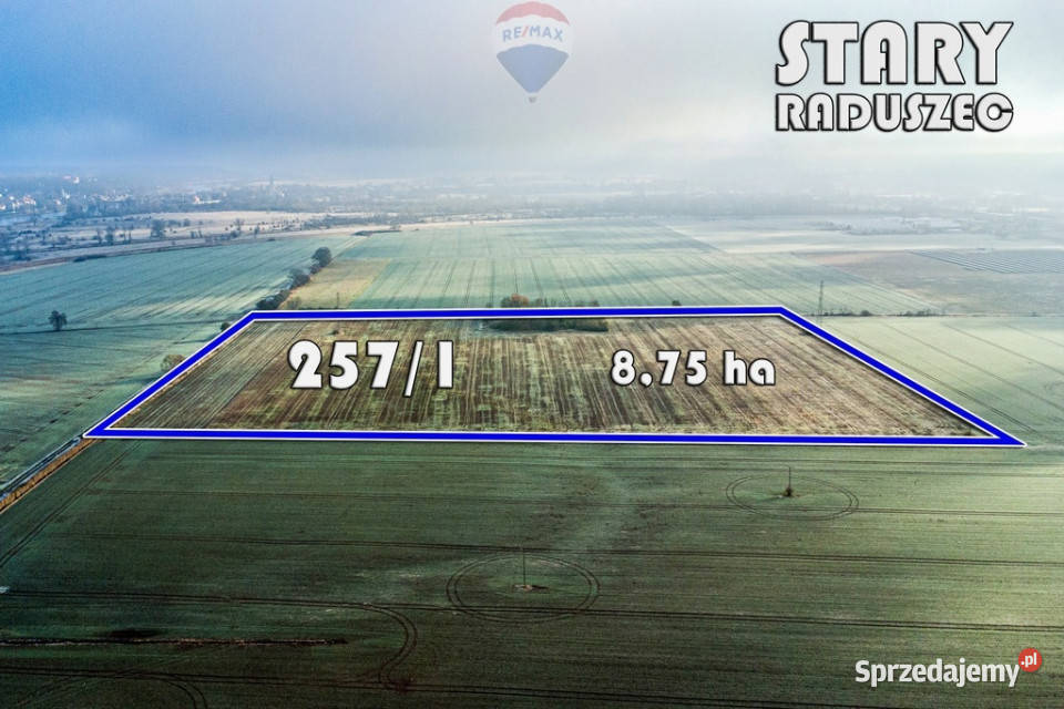 Na sprzedaż grunty orne RIIIa 875 ha Stary Raduszec