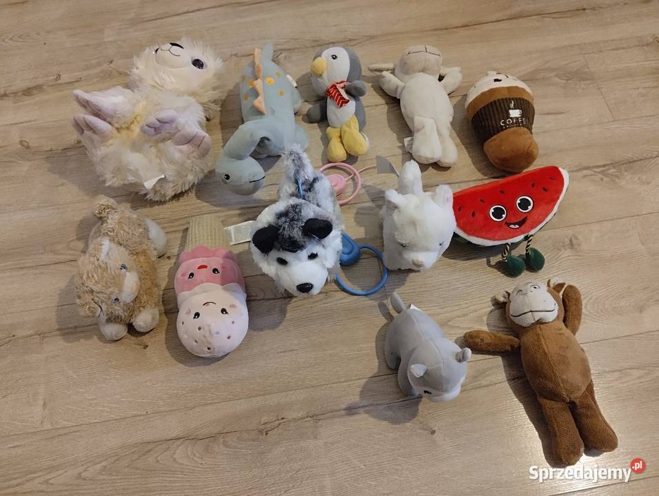 Maskotki Sępólno Krajeńskie