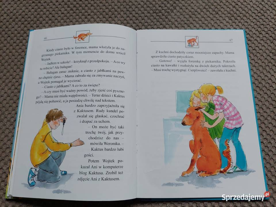 Kaktus wierby przyjaciel Barbara Gawryluk Kraków