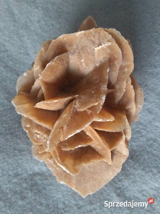 Róża Pustyni kamień ozdobny z Sahary 12 07 Warszawa