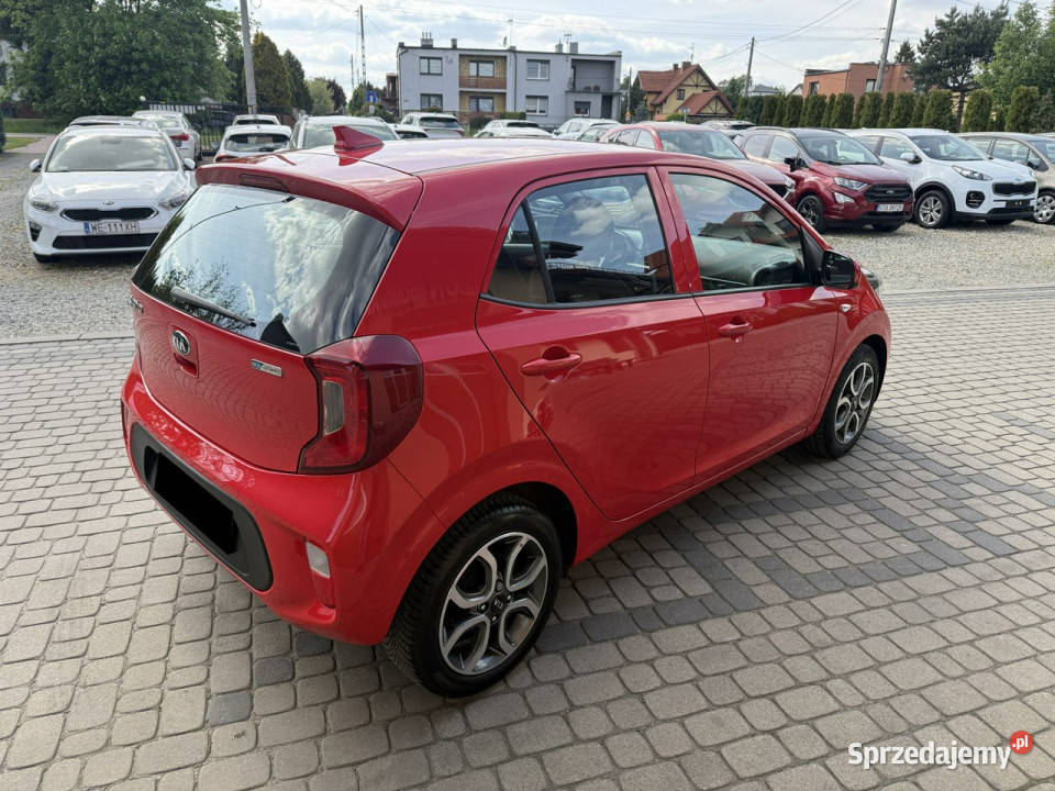 Kia Picanto 10 67 Klimatyzacja Kamera CarPlay Orzech