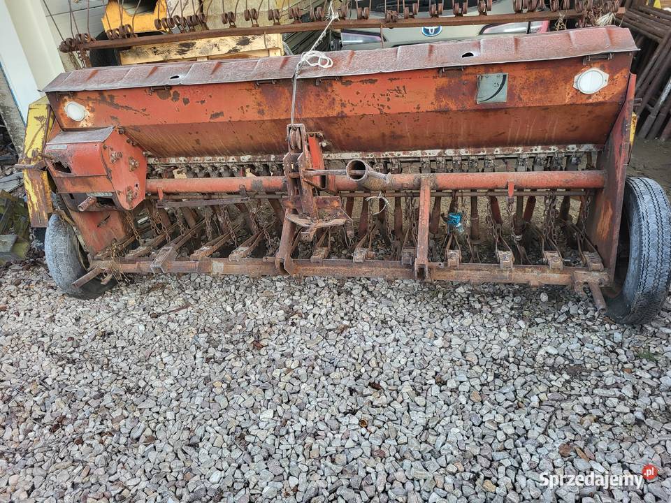 Siewnik poznaniak Wiskitki