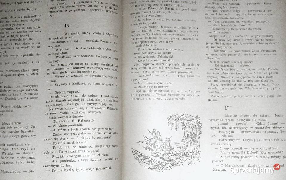 Przypadki starościca Wolskiego Tom 2 Józef Hen Chełm