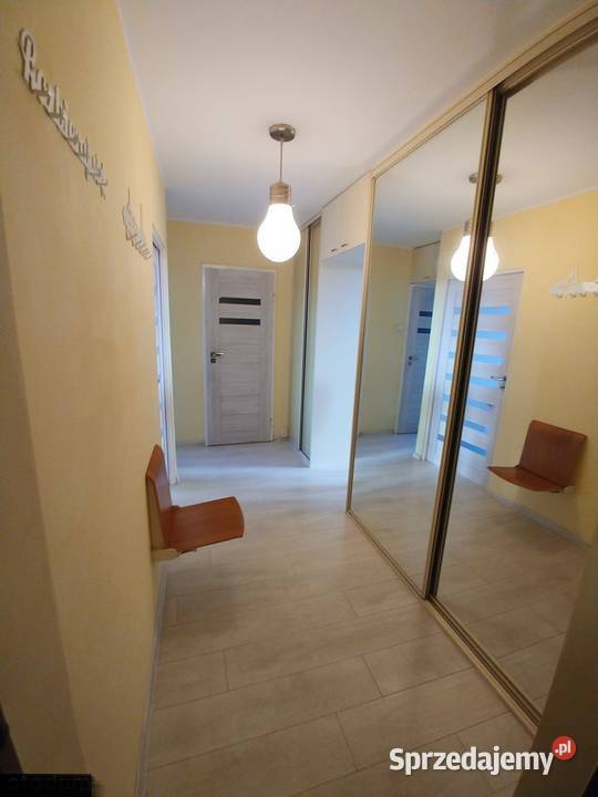 2pok 54met Borowskiej BALKONPIWNICAWINDA Wrocław piwnica