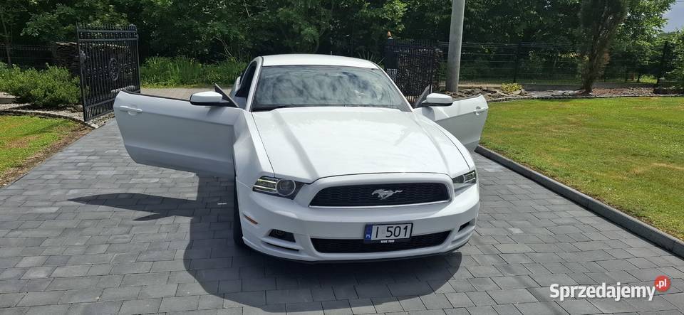 Ford Mustang 37 V generacja V6 poliftowy mały MP3 Jastrzębie-Zdrój