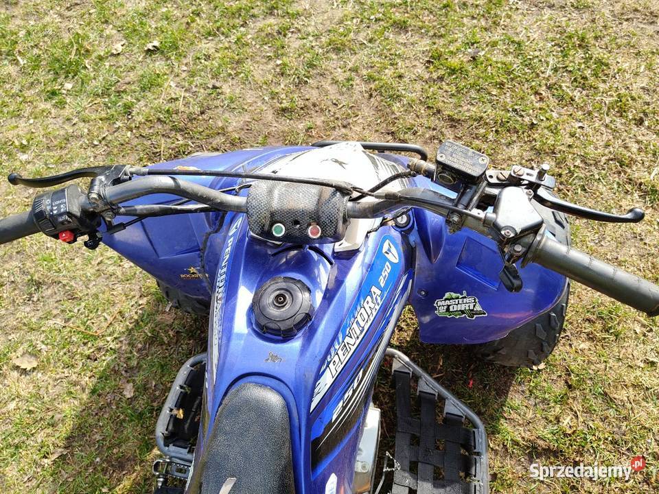 Quad pentora 250 czterosuwowy Pozostałe Porosły sprzedam