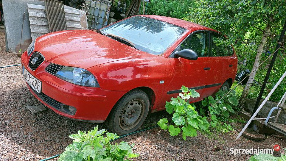 Seat Ibiza 3 Struga