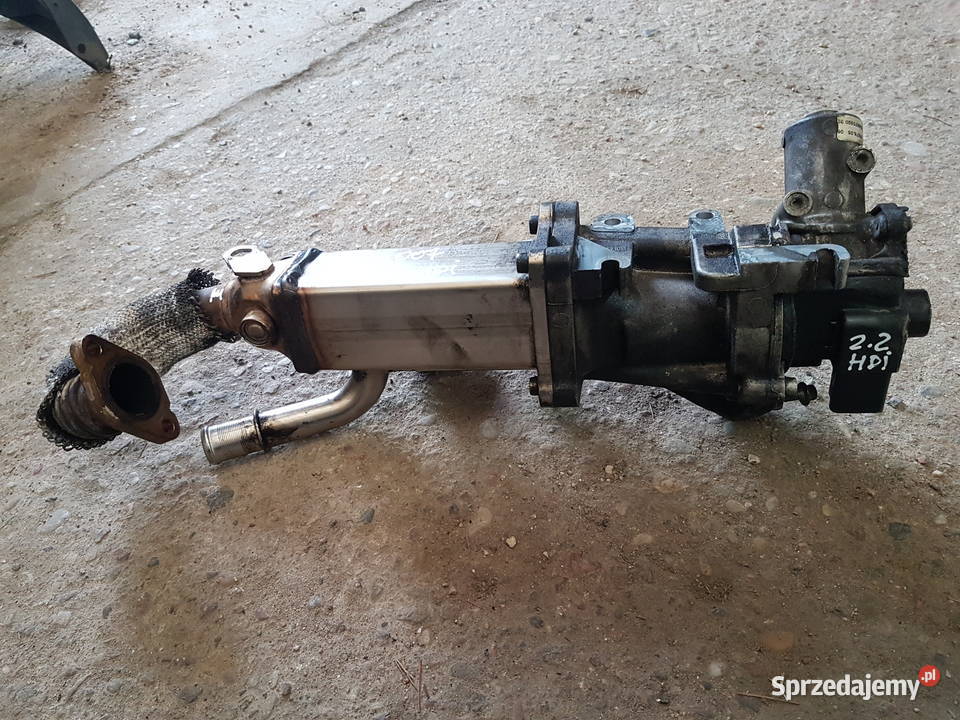 PEUGEOT 4007 22 HDI FORD TDCI CHLODNICA SPALIN terenowe Turkowice