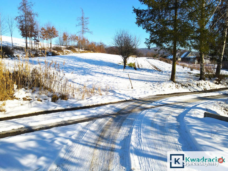 Działka 2211m2 Trepcza 2211m2 Sprzedaż sprzedam