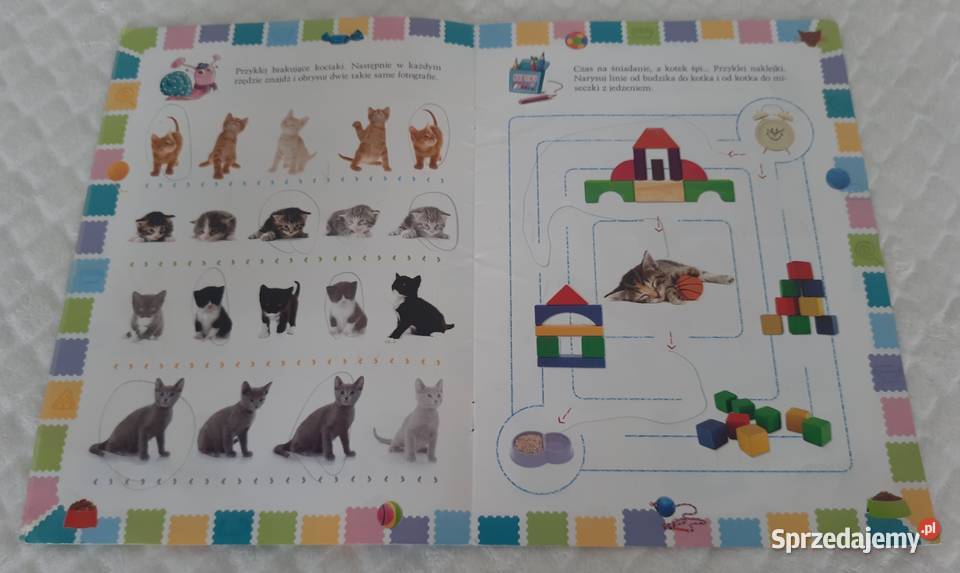 Ulubione koty Aksjomat 2013 Książeczki dzieci Czeladź