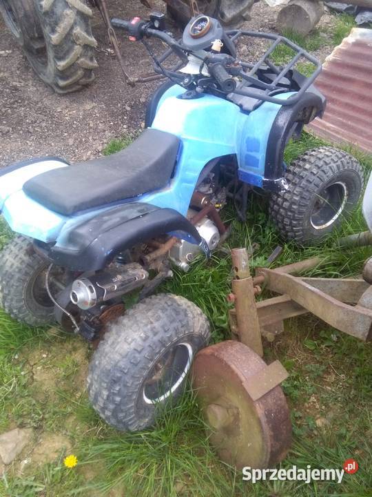 Sprzedam quada Honda Kamesznica