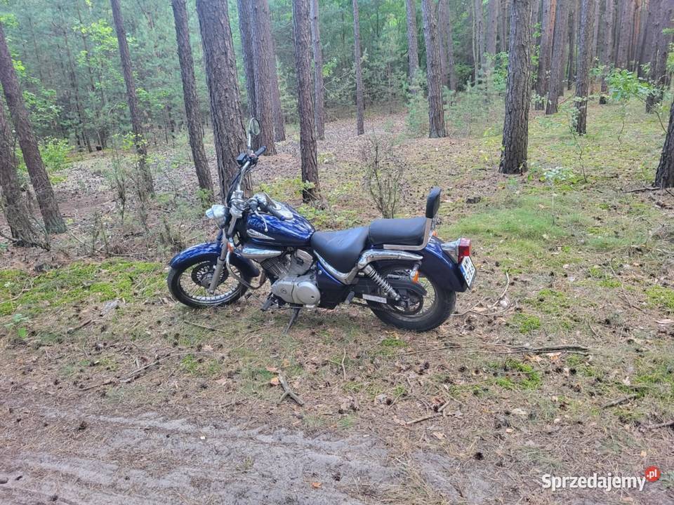 Suzuki intruder 125 Latowicz
