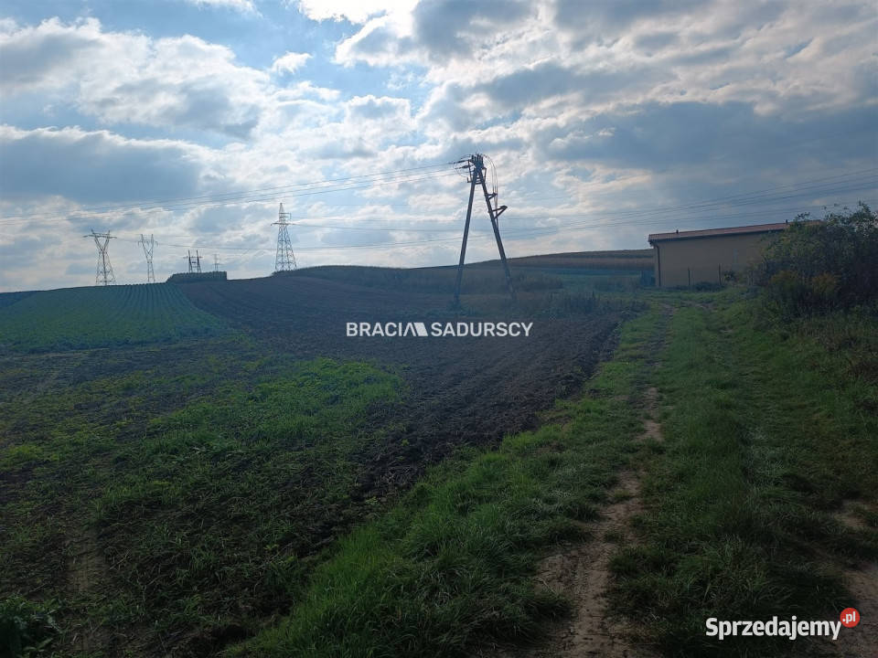 Działka Proszowice 9901m2 polna