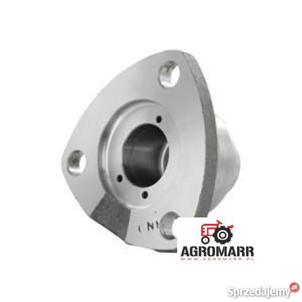 SWORZEŃ CASE Działyń