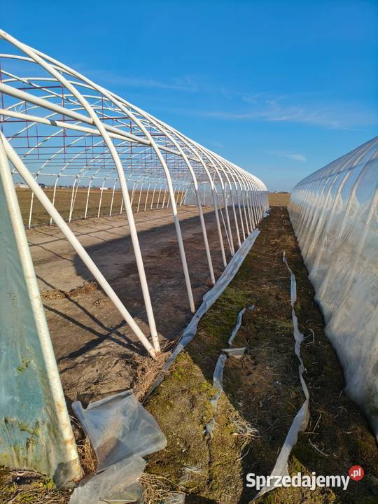 Tunel foliowy DUŻY konstrukcja 7x30m 210 m Blizanów