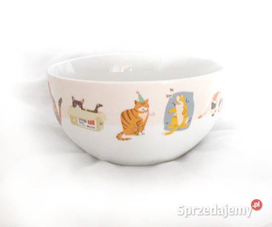 pastelowa miseczka z kotami ceramiczna miseczka Olsztyn