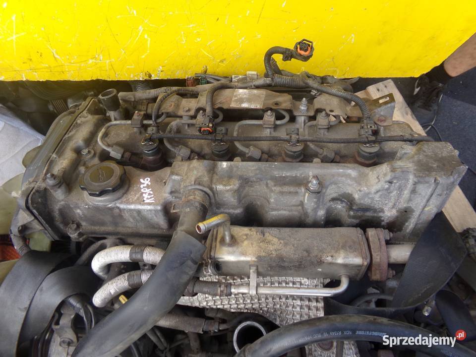 RANGER MAZDA BT50 25 TDCI 09r 143 WLAA wtrysk osobowe Suków