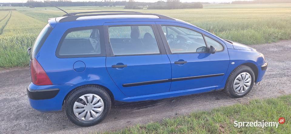 Peugeot 307 20 hdi sw ZAMIANA diesel