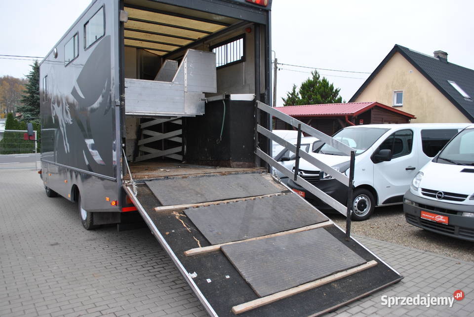 MercedesBenz Atego Koniowóz Transport Zwierząt Sierakowice