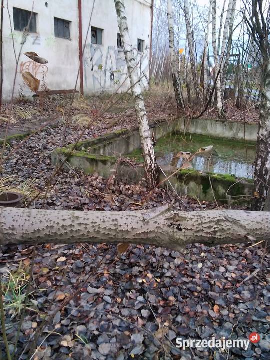 Drewno opałowe kominkowe liściaste Żarów sprzedam
