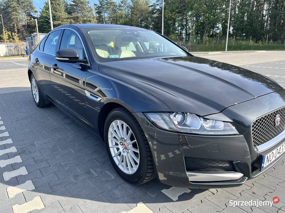 Jaguar XF 2017 zadbany Białystok