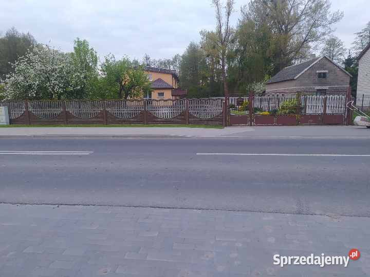 sprzedam dom las 200m2 Przedecz