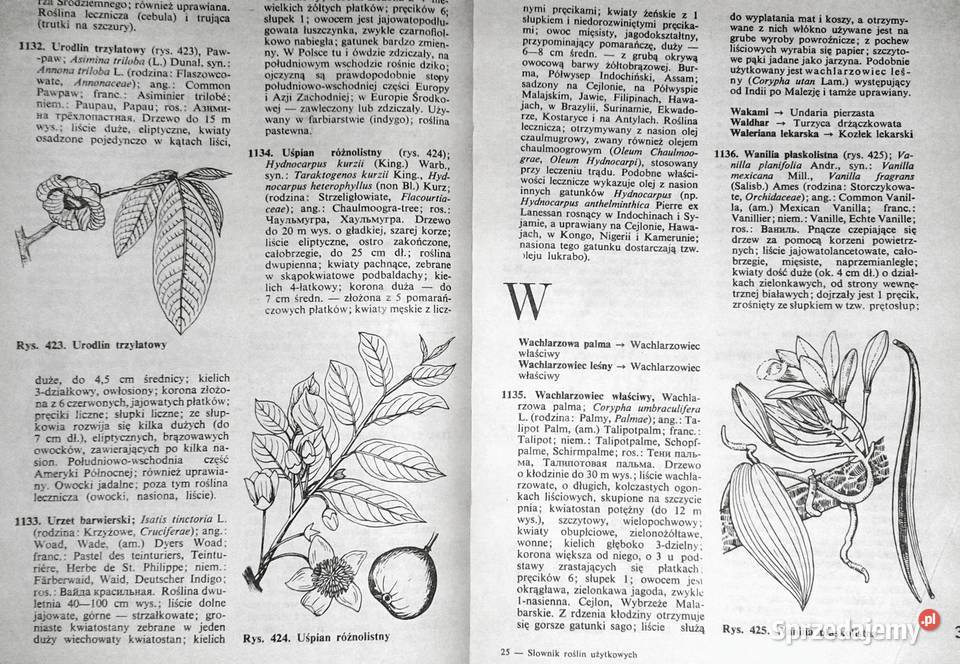 Słownik roślin użytkowych Zbigniew Podbielkowski miękka Chełm