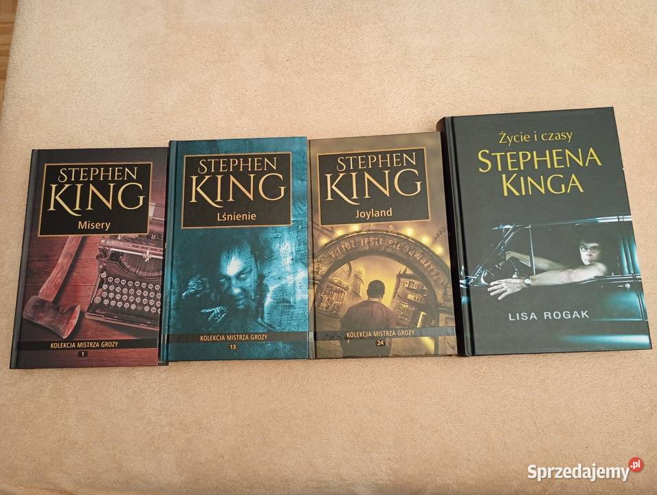 Stephen King x 10 Zestaw książek w stanie Łódź