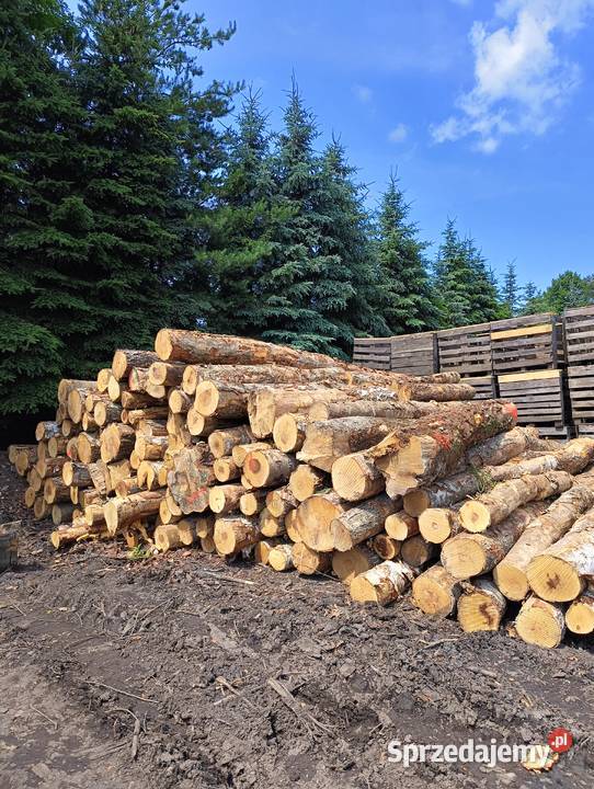 Drewno w wałkach S2A 250 Sosna Brzoza Dąb i Buk Opał Bolesław