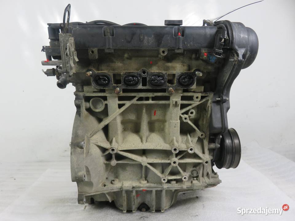 SILNIK FORD FOCUS MK2 II 14 16V 80 ASDA sprzedam