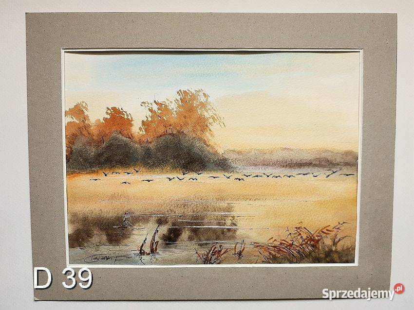 Akwarela Obraz Pejzaż sprzedam