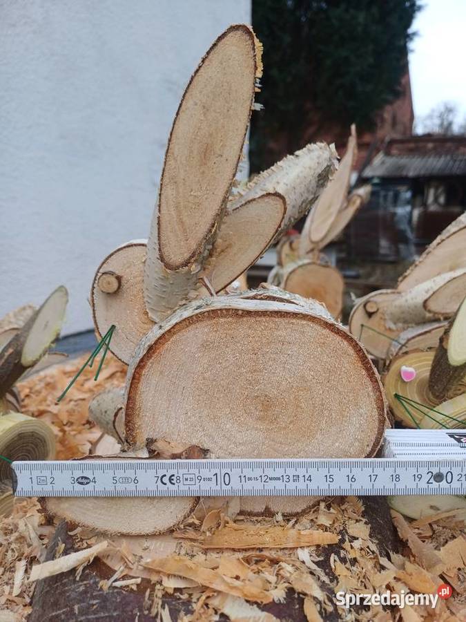 zajac wielkanocny Żary