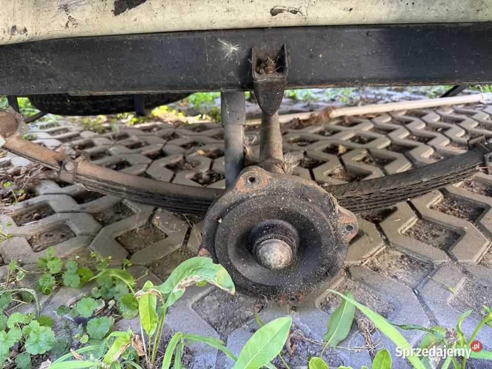 Przyczepa kampingową Niewiadow N126 e cytrynki 1