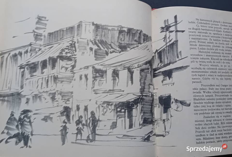 Wiktor Zin Piórkiem i węglem Piękno potężne wielkopolskie Koźminek