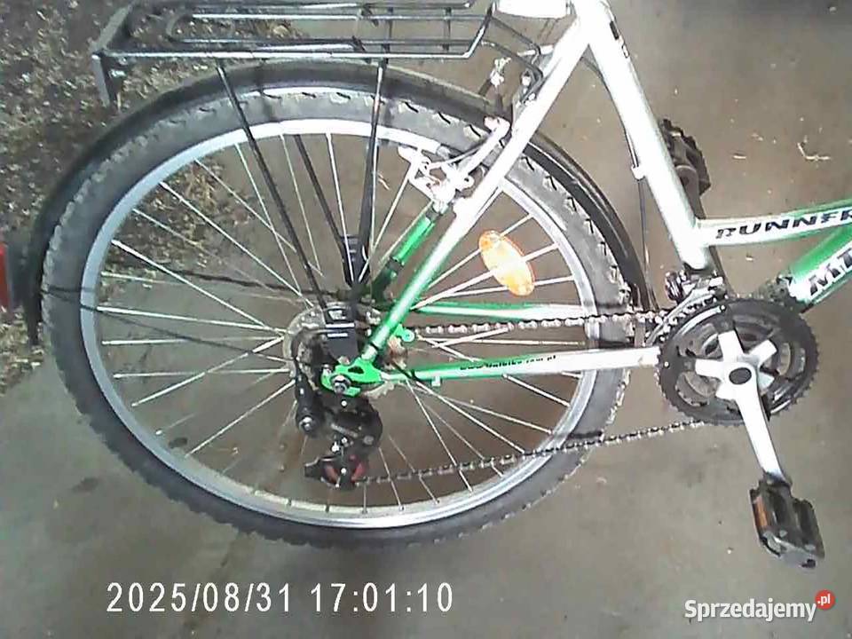 rower damka kujawsko-pomorskie Złotniki Kujawskie